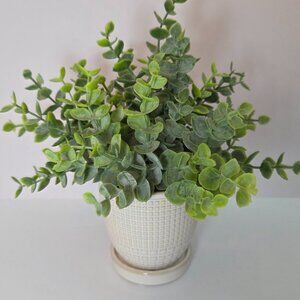 Artificial Eucalyptus Plant in Ceramic Pot, Cream/Ivory - Like New